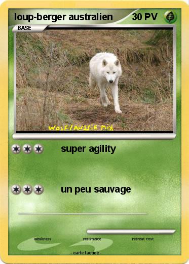 Pokemon loup-berger australien