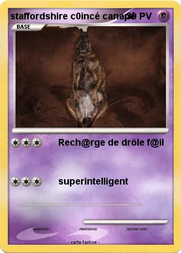 Pokemon staffordshire c0incé canapé