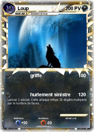 Pokemon Loup