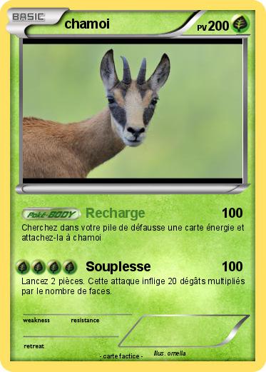 Pokemon chamoi