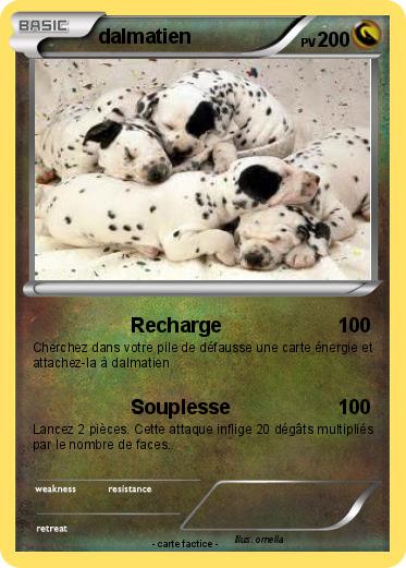 Pokemon dalmatien