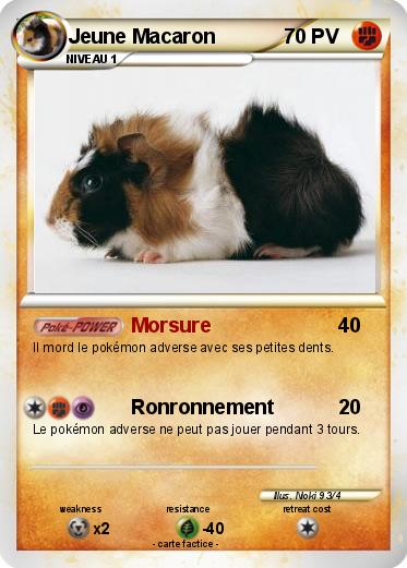 Pokemon Jeune Macaron