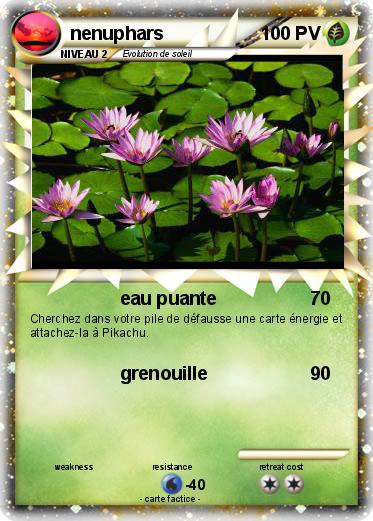Pokemon nenuphars