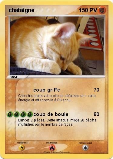 Pokemon chataigne