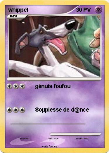 Pokemon whippet