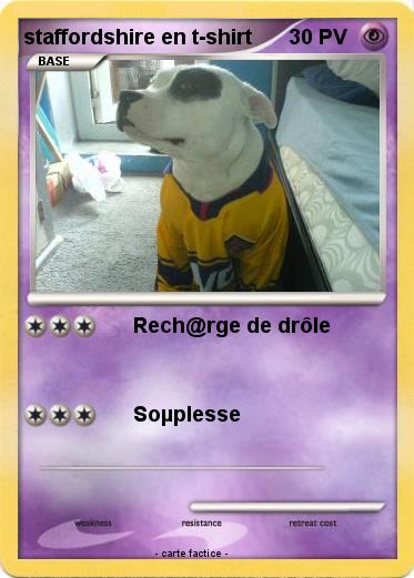 Pokemon staffordshire en t-shirt