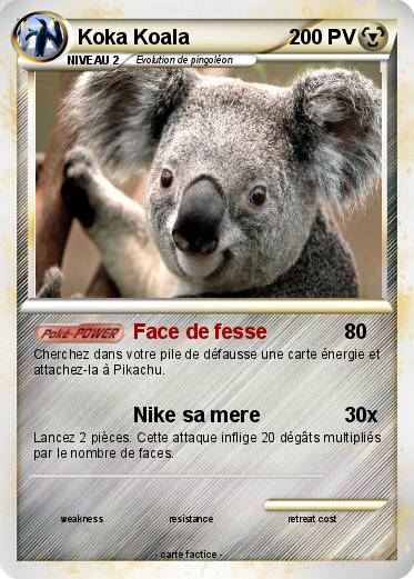 Pokemon Koka Koala