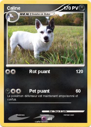 Pokemon Caline