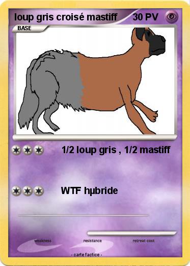 Pokemon loup gris croisé mastiff