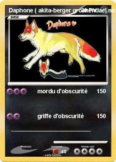 Pokemon Daphone ( akita-berger groenendael mix )