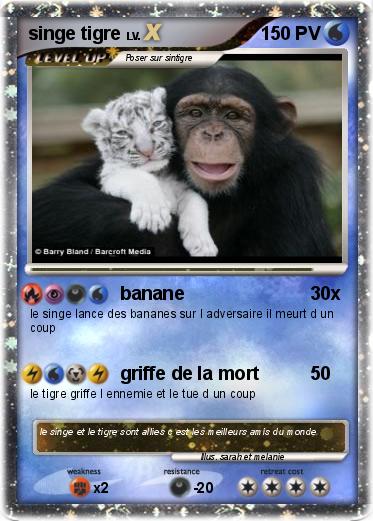 Pokemon singe tigre