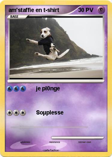 Pokemon am'staffie en t-shirt