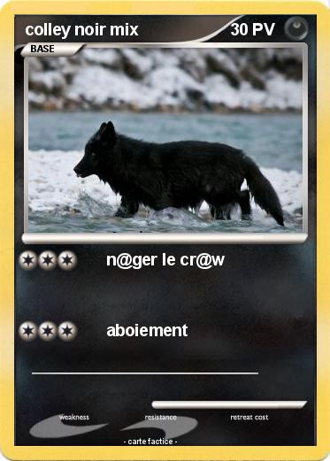 Pokemon colley noir mix