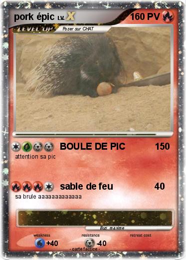 Pokemon pork épic