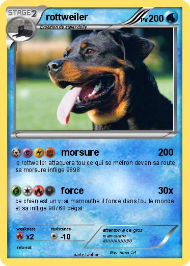 Pokemon rottweiler