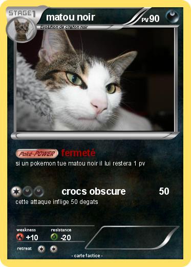 Pokemon matou noir