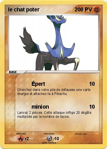 Pokemon le chat poter