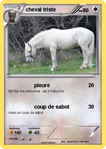 Pokemon cheval triste