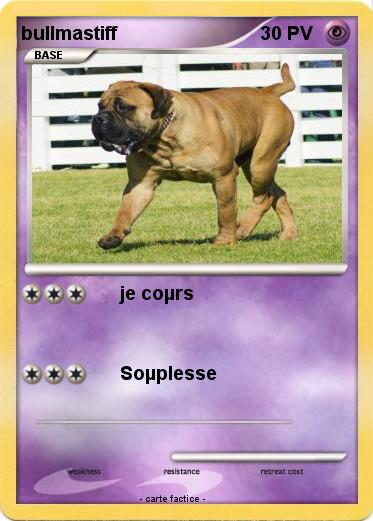 Pokemon bullmastiff