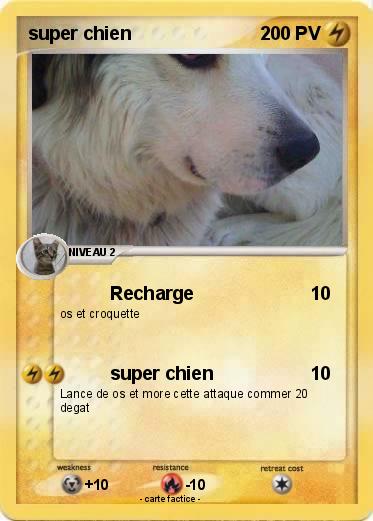 Pokemon super chien