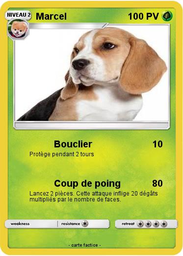 Pokemon Marcel