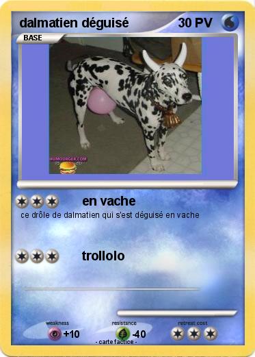 Pokemon dalmatien déguisé