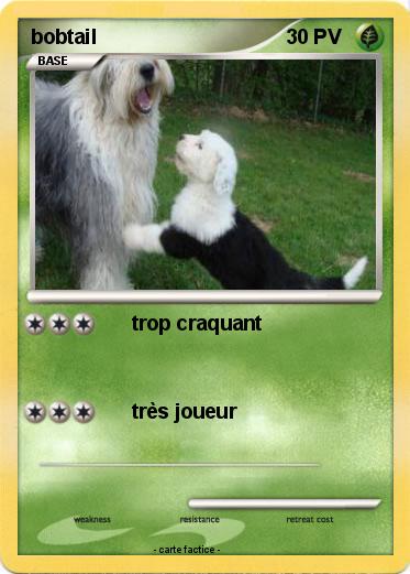 Pokemon bobtail