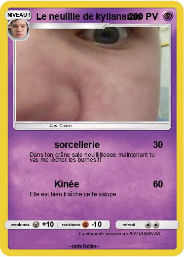 Pokemon Le neuillle de kyliananas
