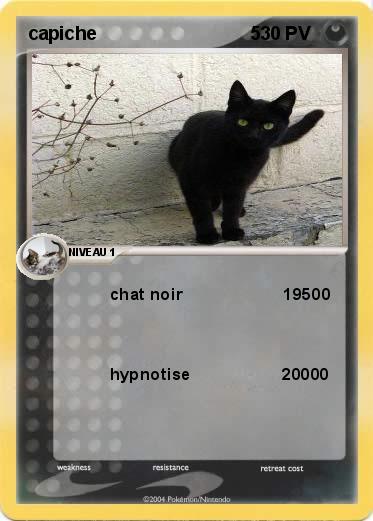 Pokemon capiche                              5