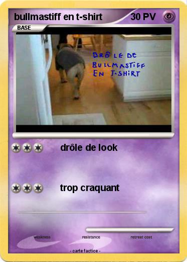 Pokemon bullmastiff en t-shirt