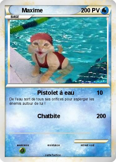 Pokemon Maxime