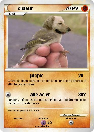 Pokemon oisieur