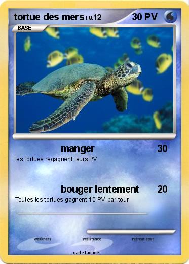 Pokemon tortue des mers