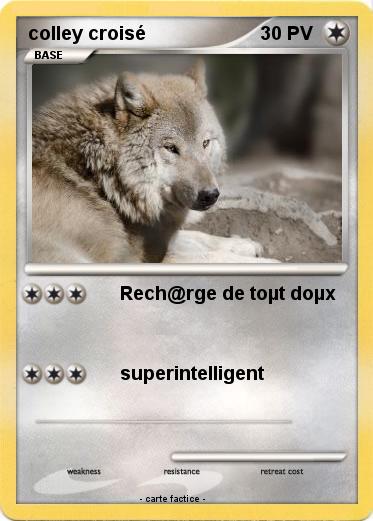 Pokemon colley croisé