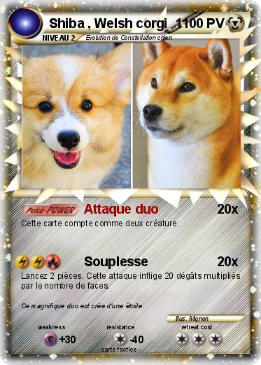 Pokemon Shiba , Welsh corgi  1