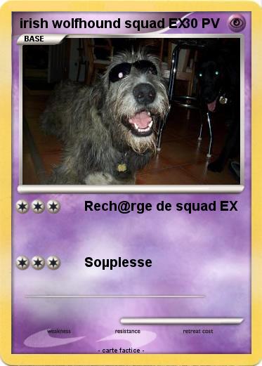 Pokemon irish wolfhound squad EX