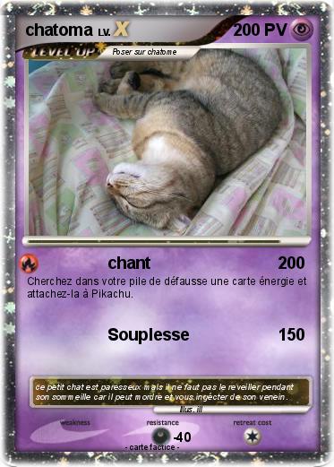Pokemon chatoma