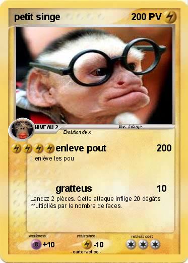 Pokemon petit singe