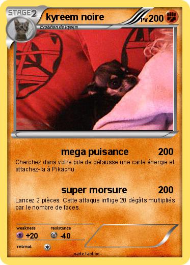 Pokemon kyreem noire