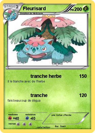 Pokemon Fleurisard
