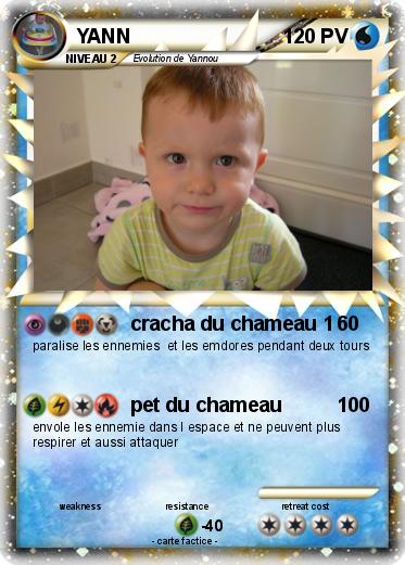 Pokemon YANN