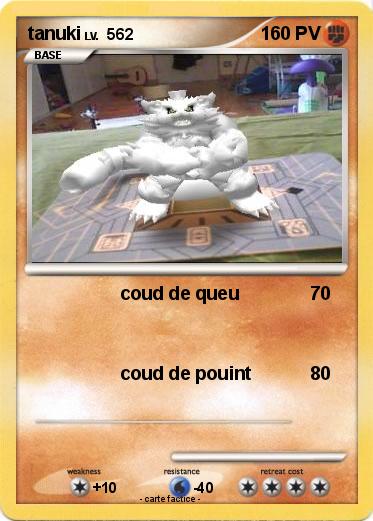 Pokemon tanuki
