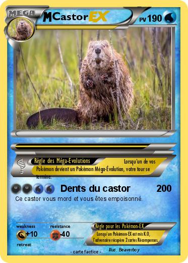 Pokemon Castor
