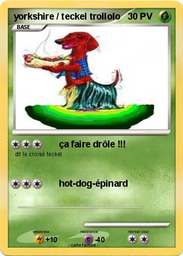 Pokemon yorkshire / teckel trollolo