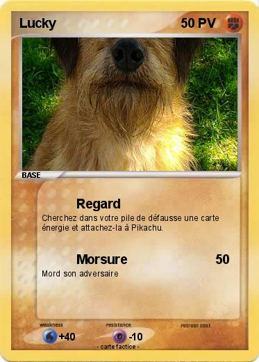 Pokemon Lucky
