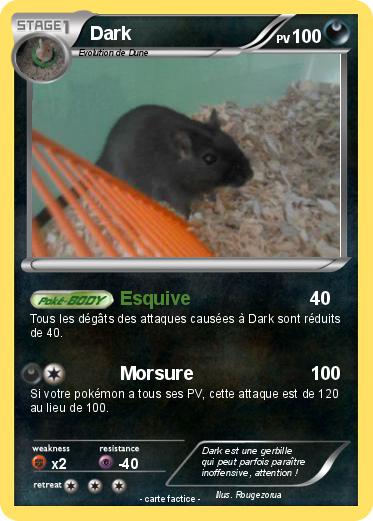 Pokemon Dark