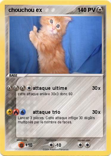 Pokemon chouchou ex