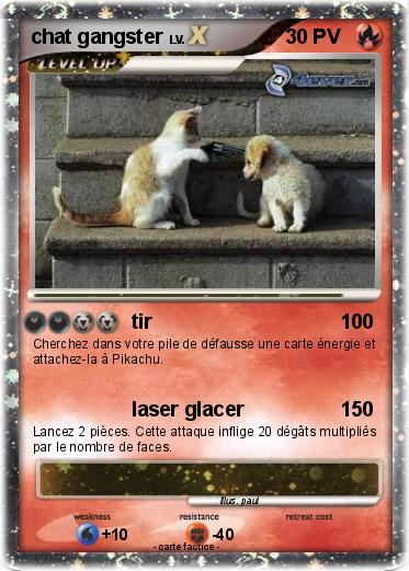 Pokemon chat gangster