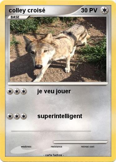 Pokemon colley croisé