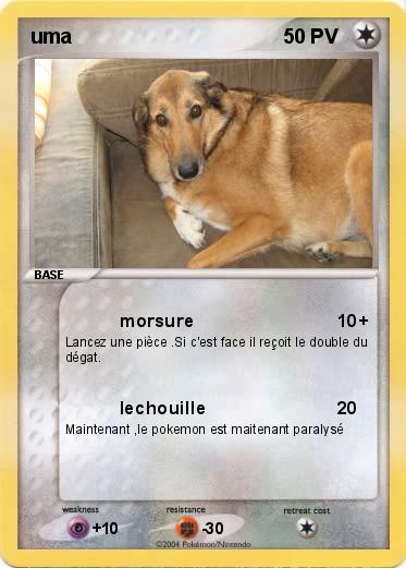 Pokemon uma